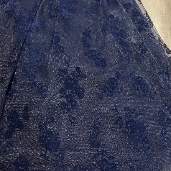 Vintage Janie and Jack Opulent Opera Floral Flocked Tulle Dress size 5 - Picture 10 of 11